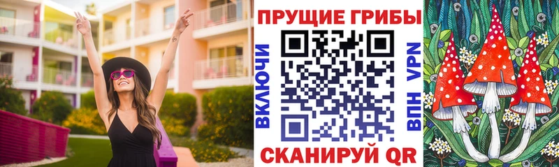Псилоцибиновые грибы GOLDEN TEACHER  Купить  Усинск 